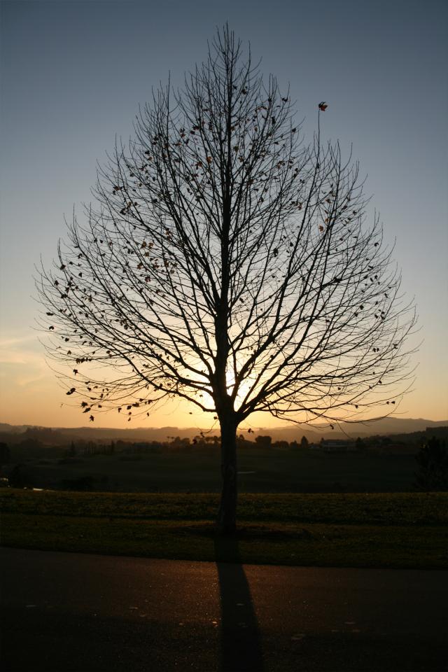 Galeria Quintas da Baroneza - Foto 44